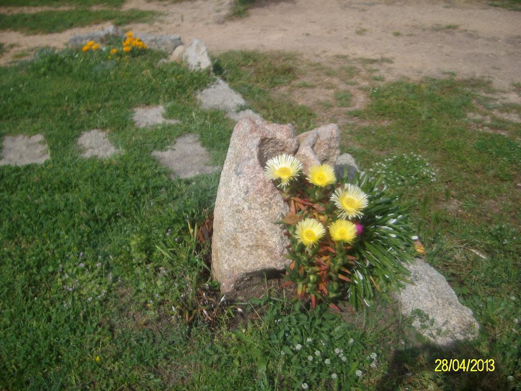 לינה וארוחת בוקר ארזח'ינה Agriturismo Spridda מראה חיצוני תמונה