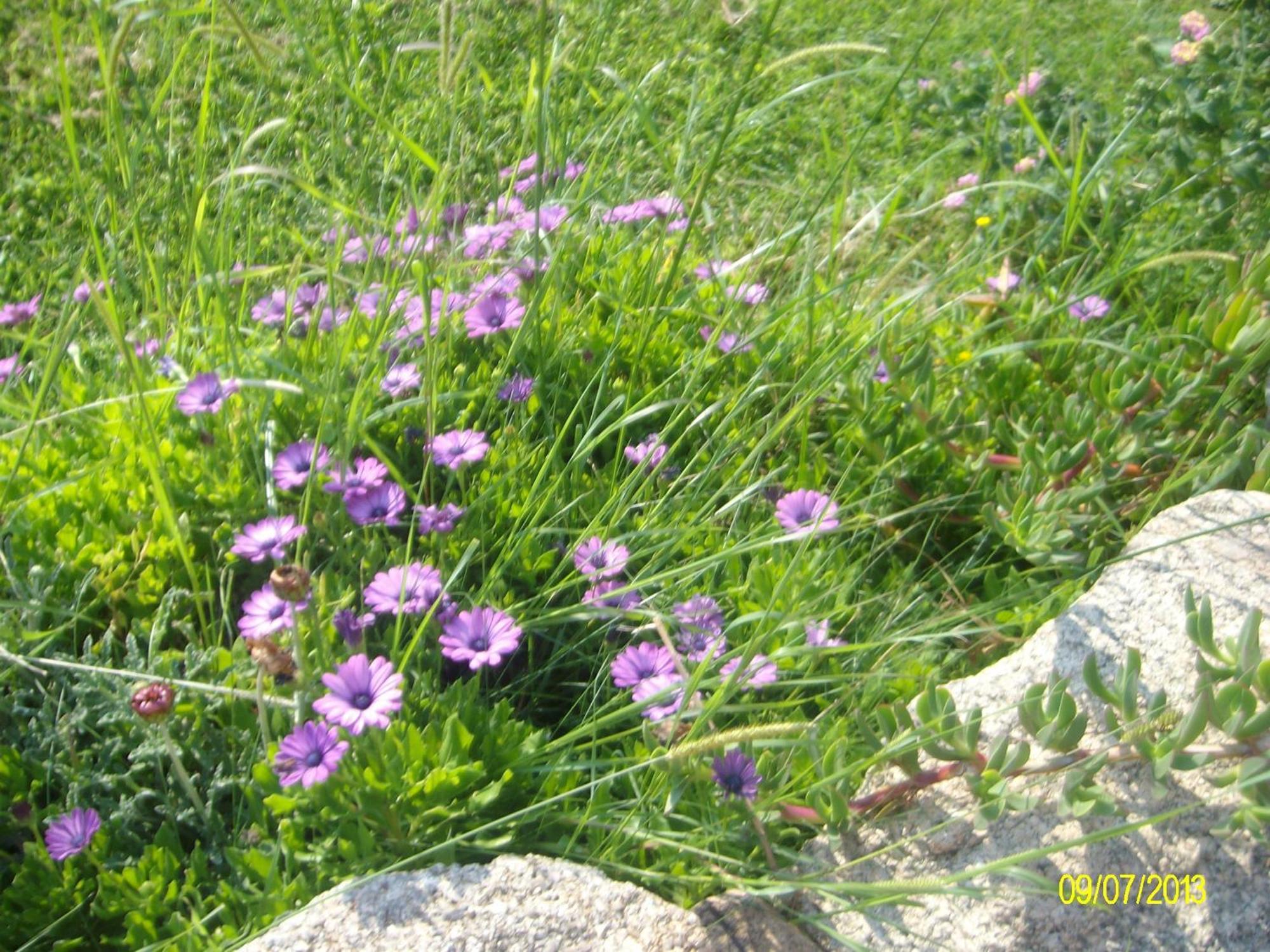 לינה וארוחת בוקר ארזח'ינה Agriturismo Spridda מראה חיצוני תמונה