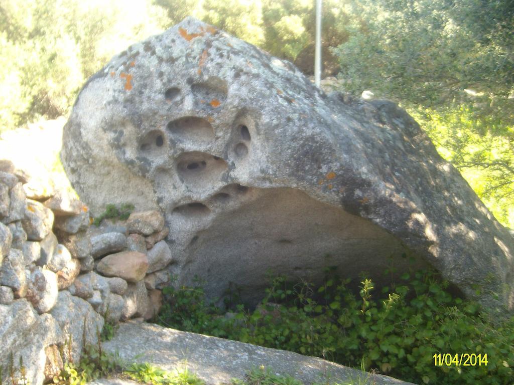לינה וארוחת בוקר ארזח'ינה Agriturismo Spridda מראה חיצוני תמונה